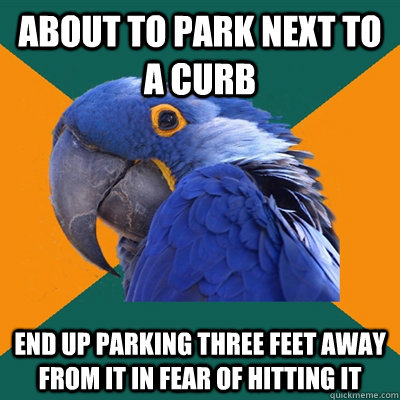 About to park next to a curb End up parking three feet away from it in fear of hitting it  Paranoid Parrot