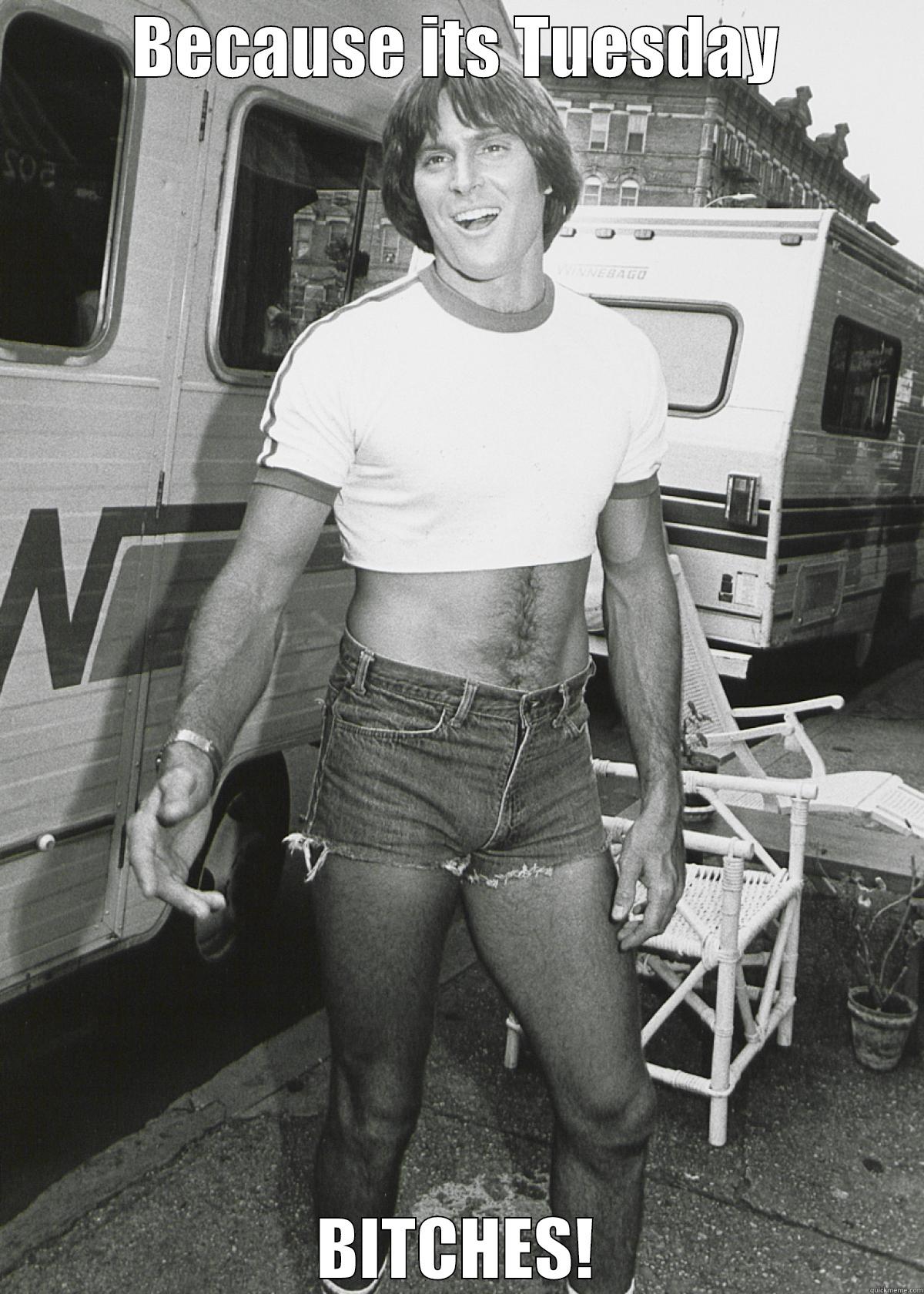 BECAUSE ITS TUESDAY BITCHES! Misc