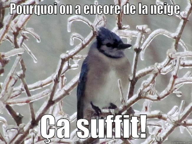 POURQUOI ON A ENCORE DE LA NEIGE ÇA SUFFIT! Misc