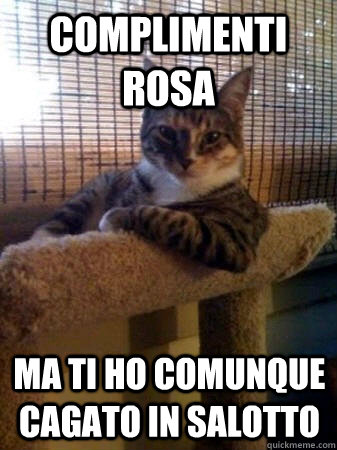 complimenti rosa ma ti ho comunque cagato in salotto  The Most Interesting Cat in the World