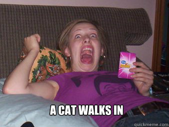 A cat walks in - A cat walks in  Crazy Cat Lady