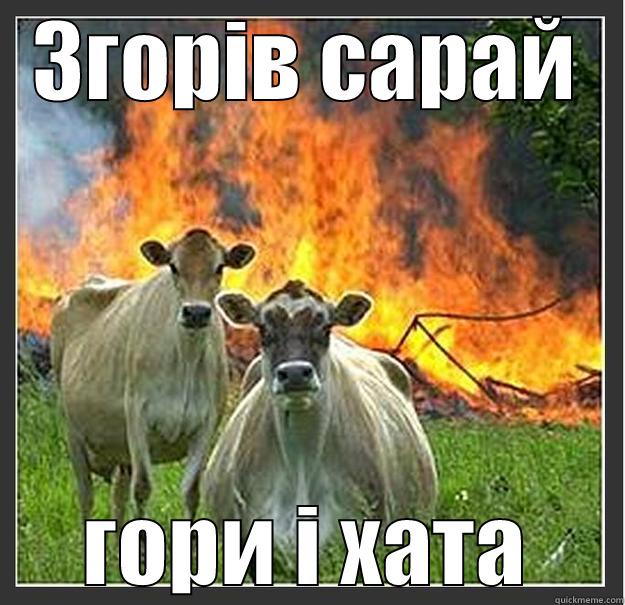 Згорів сарай - гори і хата - ЗГОРІВ САРАЙ ГОРИ І ХАТА Evil cows