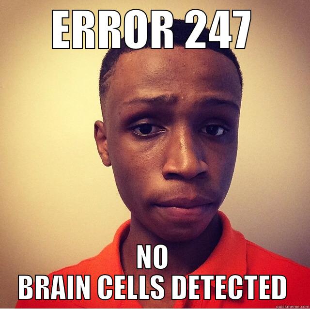 O BRAIN CELLS DETECTED - ERROR 247 NO BRAIN CELLS DETECTED Misc