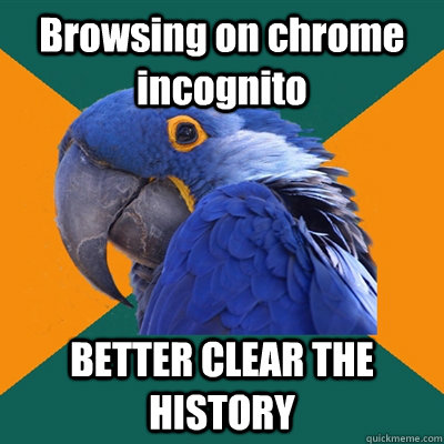 Browsing on chrome incognito  BETTER CLEAR THE HISTORY - Browsing on chrome incognito  BETTER CLEAR THE HISTORY  Paranoid Parrot