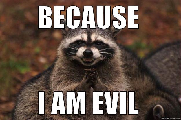 BECAUSE I AM EVIL Evil Plotting Raccoon