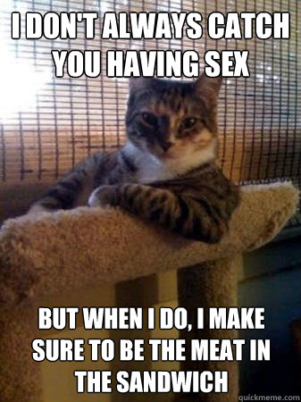 I don't always catch you having sex But when i do, i make sure to be the meat in the sandwich  The Most Interesting Cat in the World