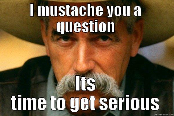 Silly person - I MUSTACHE YOU A QUESTION ITS TIME TO GET SERIOUS Misc