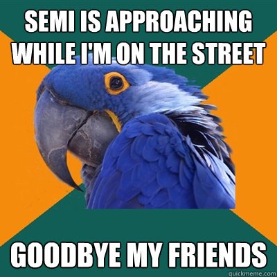 Semi is approaching while I'm on the street Goodbye my friends  Paranoid Parrot