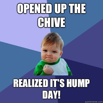 Opened up The Chive Realized it's hump day! - Opened up The Chive Realized it's hump day!  Success Kid