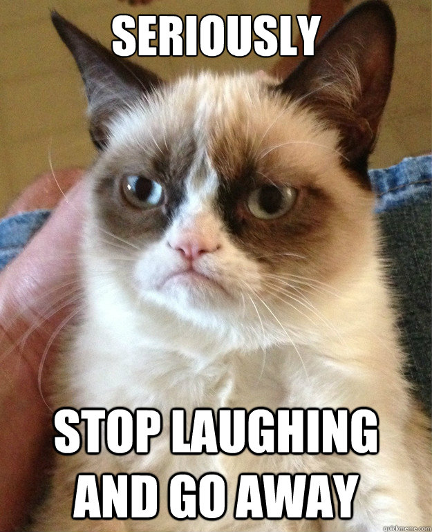 Seriously Stop laughing and go away  Grumpy Cat