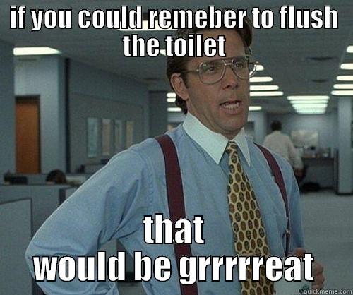 IF YOU COULD REMEBER TO FLUSH THE TOILET THAT WOULD BE GRRRRREAT Misc