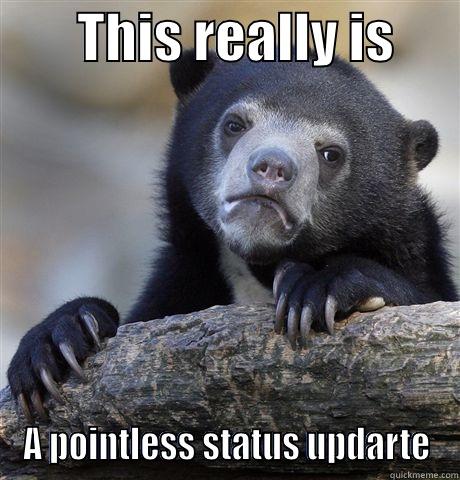        THIS REALLY IS       A POINTLESS STATUS UPDARTE Confession Bear