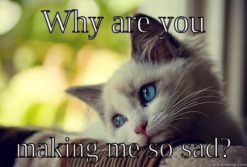      WHY ARE YOU         MAKING ME SO SAD?  First World Problems Cat