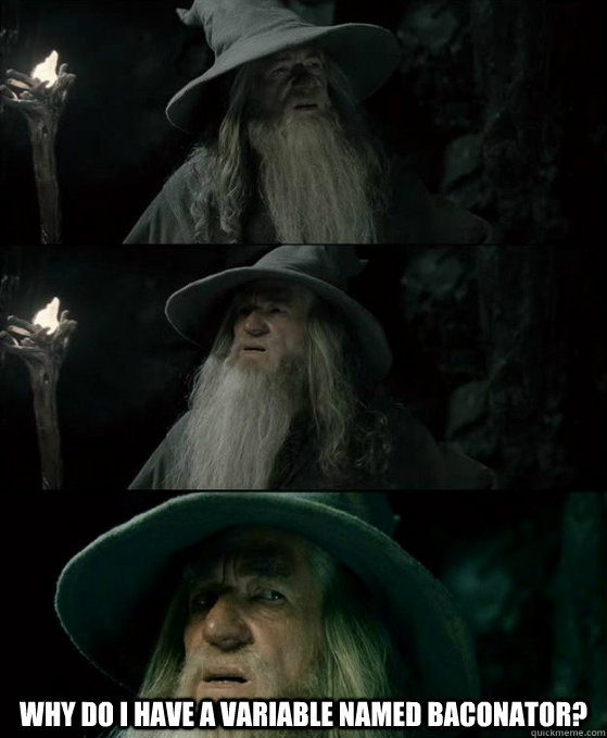  Why do I have a variable named baconator?  Confused Gandalf