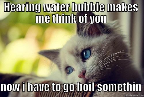 HEARING WATER BUBBLE MAKES ME THINK OF YOU                                   NOW I HAVE TO GO BOIL SOMETHIN First World Problems Cat