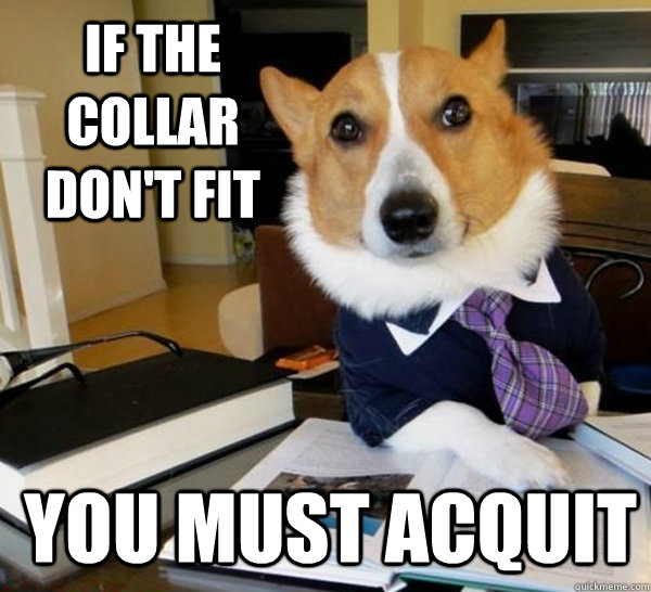 If the collar don't fit You must acquit - If the collar don't fit You must acquit  Lawyer Dog