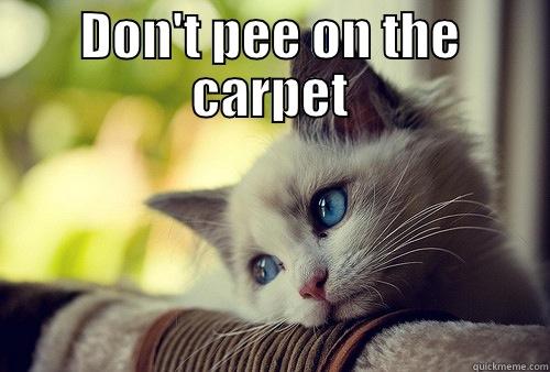 pissy cat - DON'T PEE ON THE CARPET  First World Problems Cat