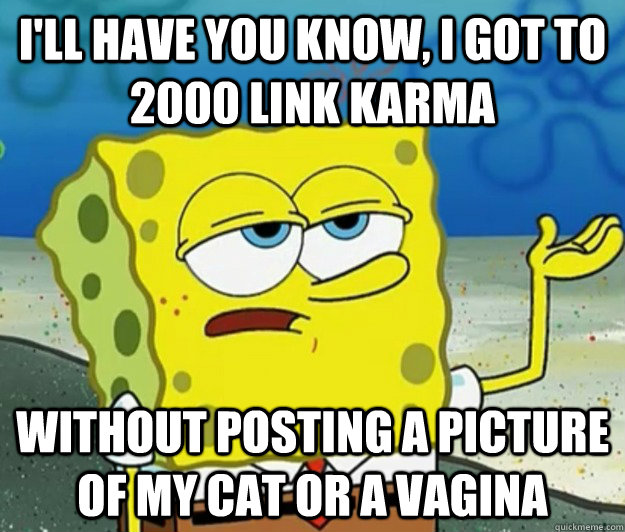 I'll have you know, I got to 2000 link karma without posting a picture of my cat or a vagina  Tough Spongebob