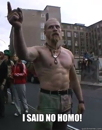  I SAID NO HOMO!  Techno Viking