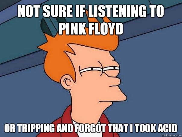Not sure if listening to Pink Floyd Or tripping and forgot that I took acid  Futurama Fry