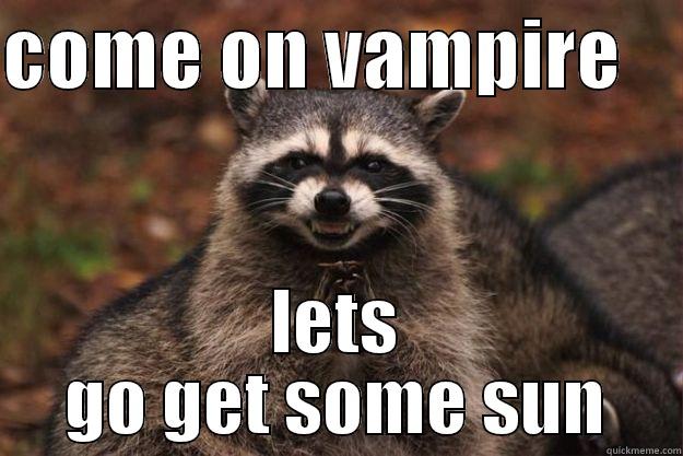 COME ON VAMPIRE     LETS GO GET SOME SUN Evil Plotting Raccoon