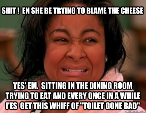 shit !  en she be trying to blame the cheese yes' em.  sitting in the dining room trying to eat and every once in a while  i'es  get this whiff of 