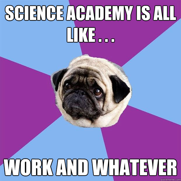 Science Academy is all like . . . work and whatever  Lonely Pug