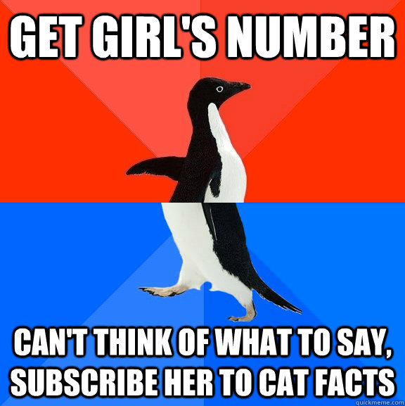 get girl's number can't think of what to say, subscribe her to cat facts  Socially Awesome Awkward Penguin