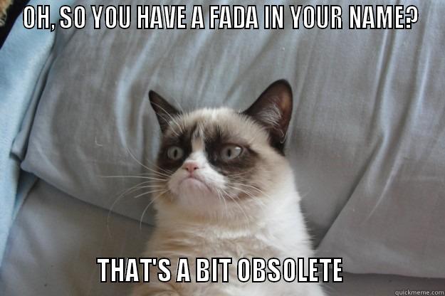 Irish cat - OH, SO YOU HAVE A FADA IN YOUR NAME?                 THAT'S A BIT OBSOLETE                 Grumpy Cat