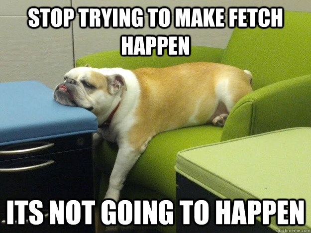 Stop trying to make fetch happen its not going to happen - Stop trying to make fetch happen its not going to happen  Misc