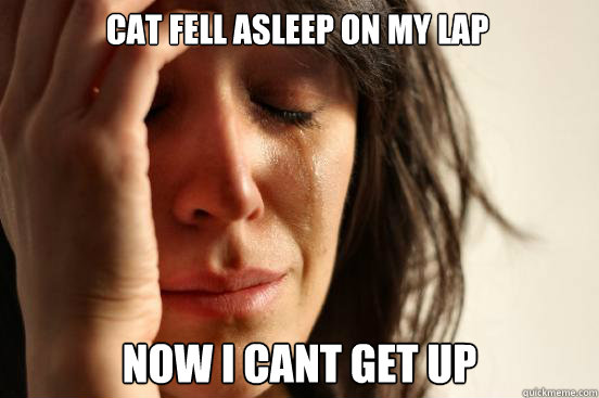 Cat fell asleep on my lap now i cant get up  First World Problems