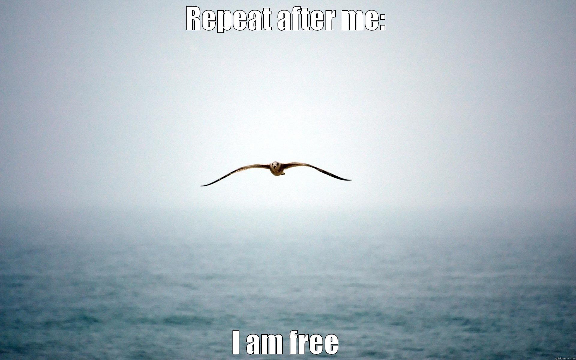 REPEAT AFTER ME: I AM FREE Misc