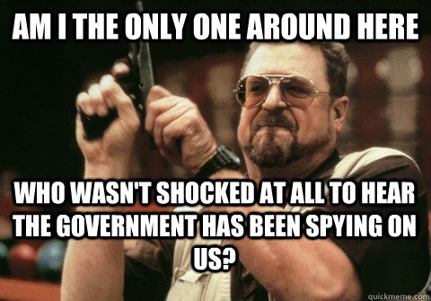 Am I the only one around here who wasn't shocked at all to hear the government has been spying on us? - Am I the only one around here who wasn't shocked at all to hear the government has been spying on us?  Am I the only one