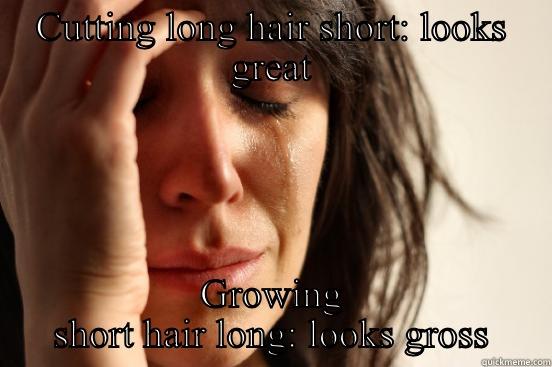 CUTTING LONG HAIR SHORT: LOOKS GREAT GROWING SHORT HAIR LONG: LOOKS GROSS First World Problems