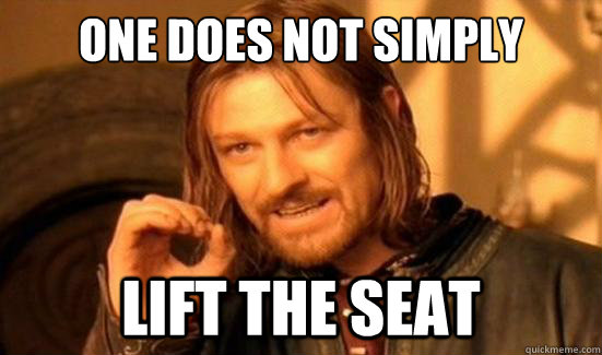 One Does Not Simply Lift the seat  Boromir