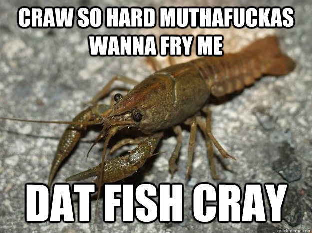 craw so hard muthafuckas wanna fry me Dat fish cray - craw so hard muthafuckas wanna fry me Dat fish cray  Crawfish