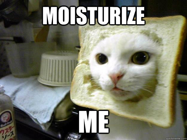 moisturize Me - moisturize Me  Bread Cat