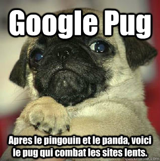 Google Pug Apres le pingouin et le panda, voici le pug qui combat les sites lents. - Google Pug Apres le pingouin et le panda, voici le pug qui combat les sites lents.  SMUG PUG