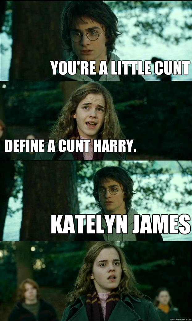 You're a little cunt Define a cunt Harry. Katelyn James  Horny Harry