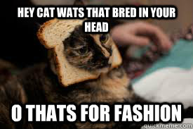 hey cat wats that bred in your head o thats for fashion - hey cat wats that bred in your head o thats for fashion  fashion