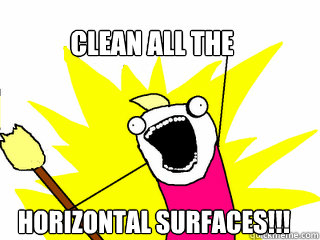 CLEAN ALL THE HORIZONTAL SURFACES!!!  All The Things