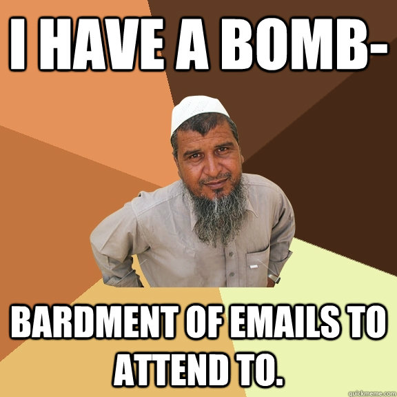 I have a bomb- bardment of emails to attend to.  Ordinary Muslim Man