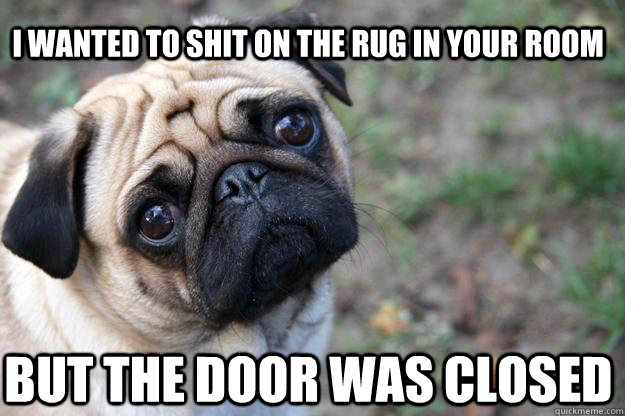 I wanted to shit on the rug in your room but the door was closed - I wanted to shit on the rug in your room but the door was closed  First World Dog problems