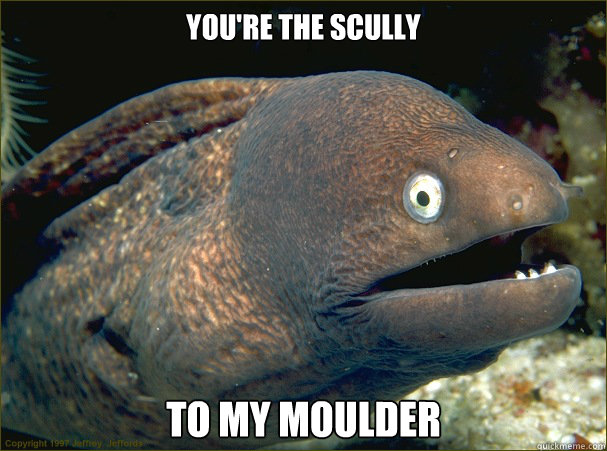 You're the Scully TO my moulder  Bad Joke Eel
