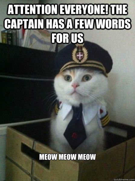 attention everyone! the captain has a few words for us meow meow meow - attention everyone! the captain has a few words for us meow meow meow  Important Message from Captain Cat