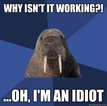 why isn't it working?! ...oh, i'm an idiot  Web Developer Walrus