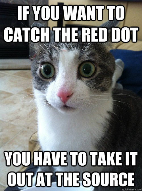 if you want to catch the red dot you have to take it out at the source  Sudden Clarity Cat