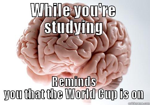 WHILE YOU'RE STUDYING REMINDS YOU THAT THE WORLD CUP IS ON Scumbag Brain
