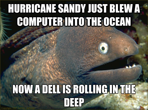 Hurricane Sandy just blew a computer into the ocean now a dell is rolling in the deep  Bad Joke Eel