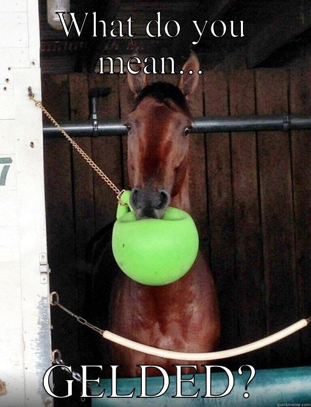 WHAT DO YOU MEAN... GELDED? Misc